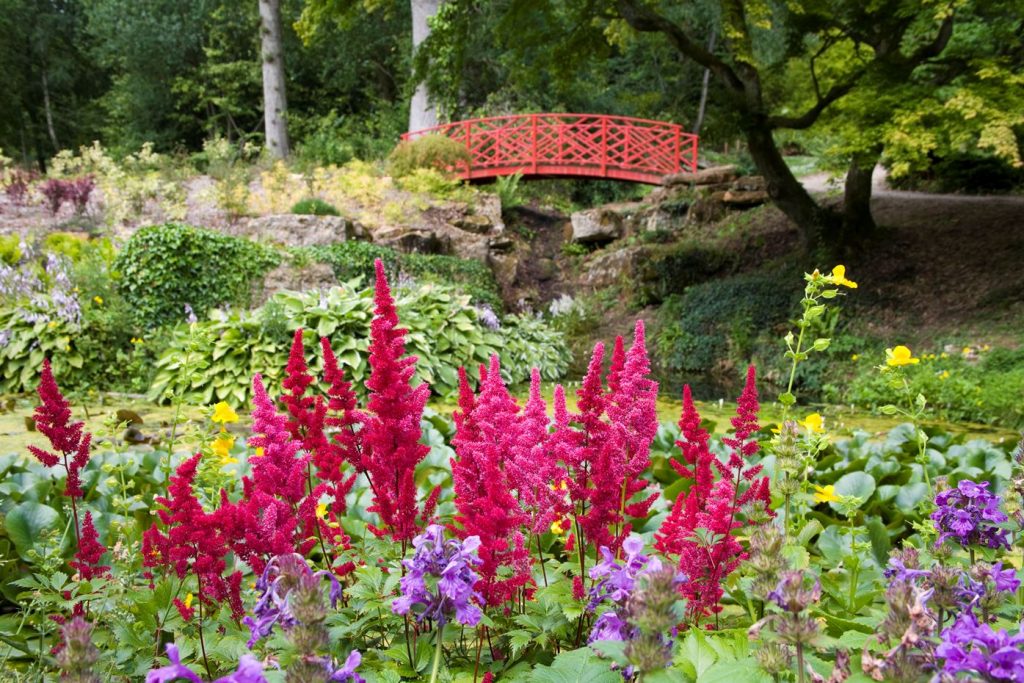 Batsford Arboretum Experience Oxfordshire