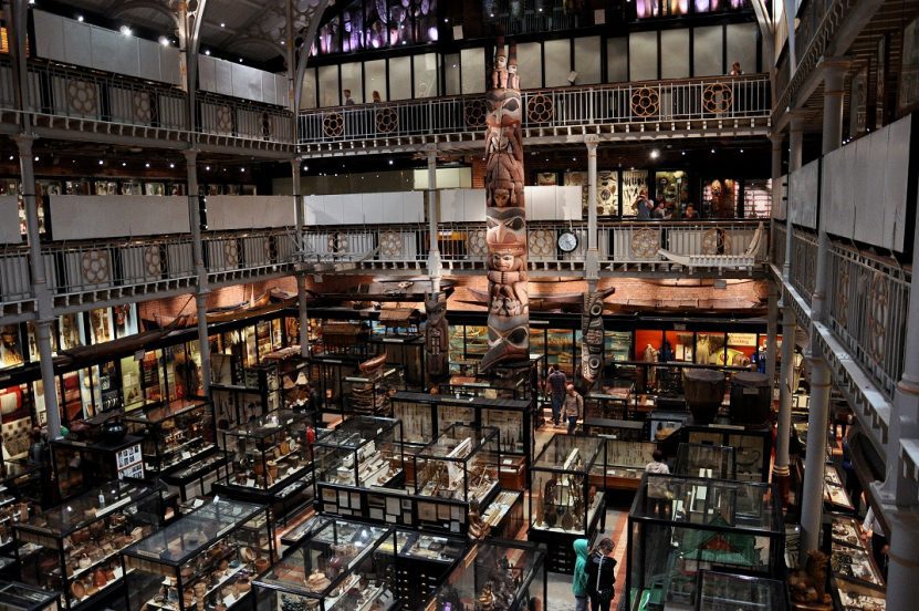 Pitt Rivers Museum Experience Oxfordshrie