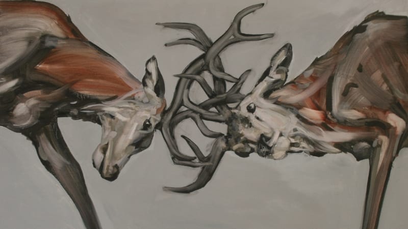 Abigail-Reed Stags rutting, oil on canvas