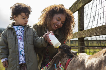 Experience Oxfordshire - Fairytale Farm 21 Experience Oxfordshire - Fairytale Farm 21