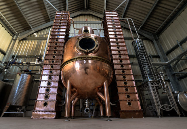 spirit-of-toad6 spirit-of-toad6