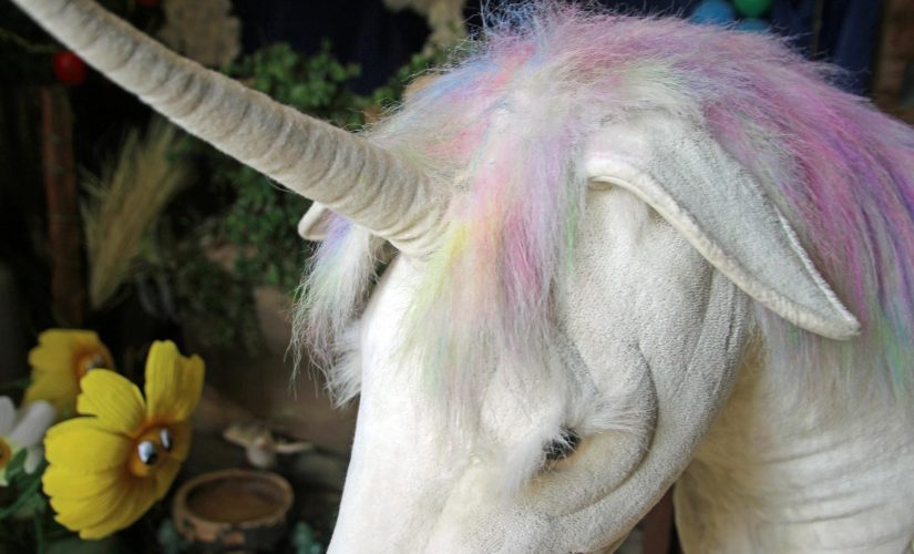 Fairytale Farm announces second unicorn event for half-term – Experience  Oxfordshire