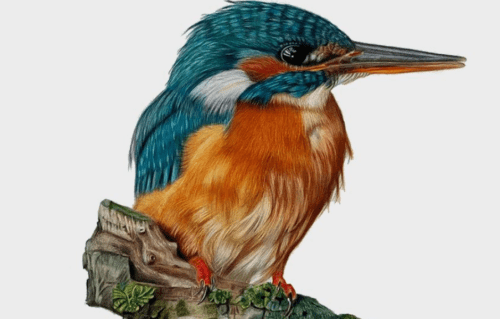Oxfordshire Artweeks 1