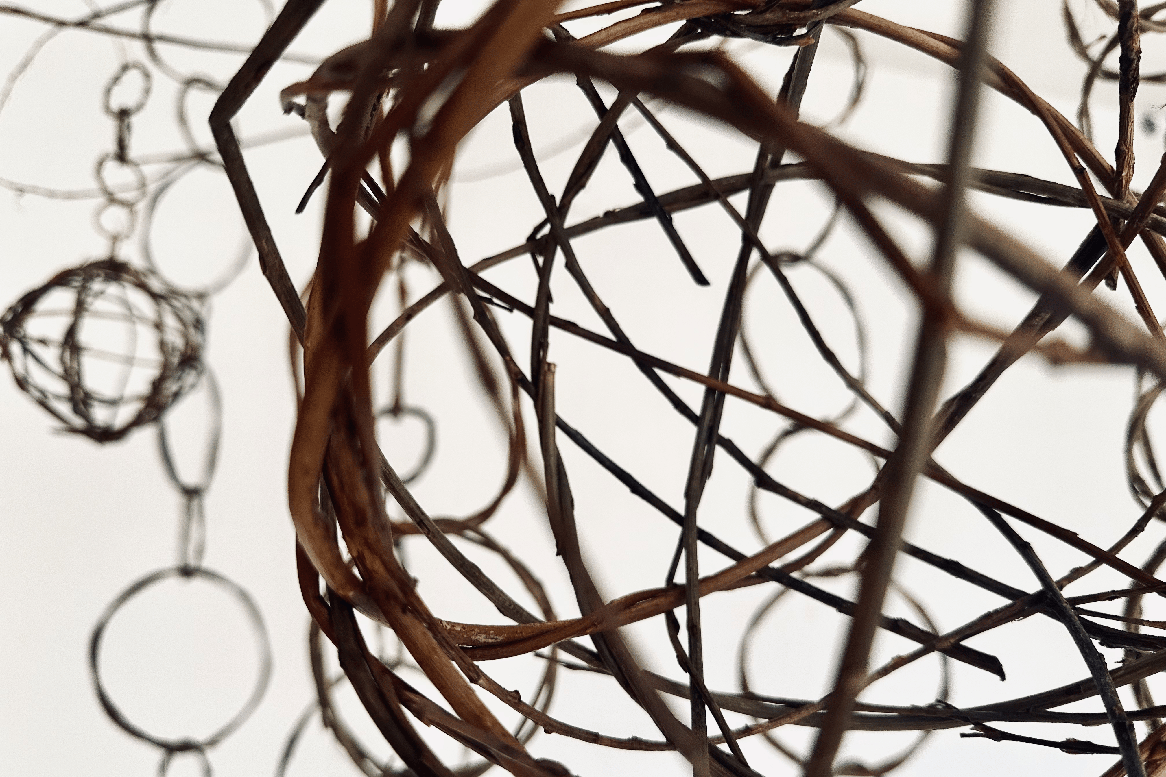 FORAGING CONNECTIONS