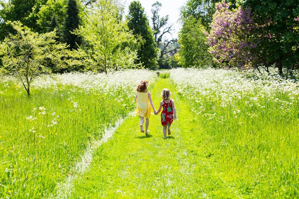 SUMMER SCULPTURE TRAIL