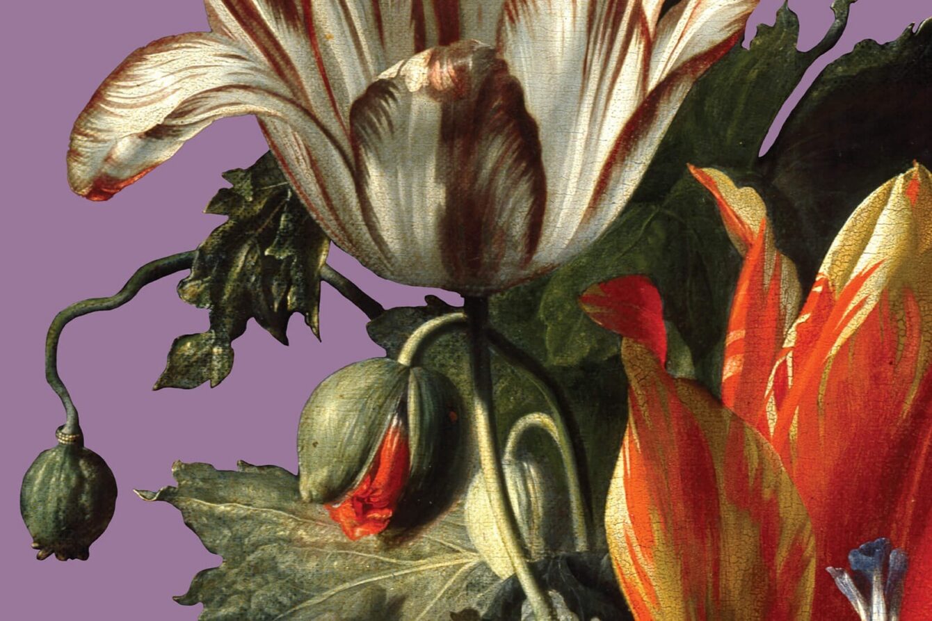 IN BLOOM: HOW PLANTS CHANGED OUR WORLD