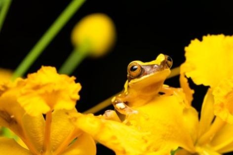 WHAT'S ON IN JUNE